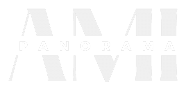 AMI Panorama